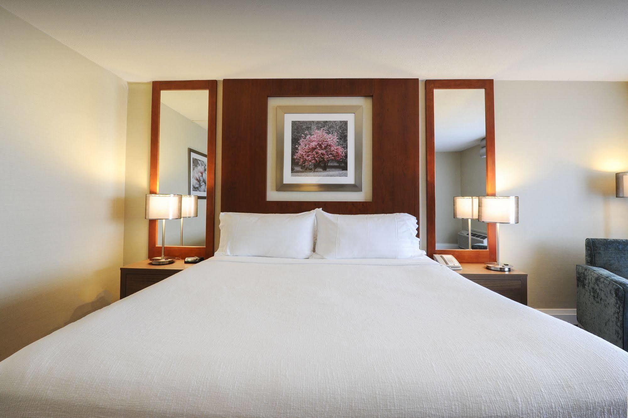 Holiday Inn Niagara Falls-By The Falls By Ihg Buitenkant foto